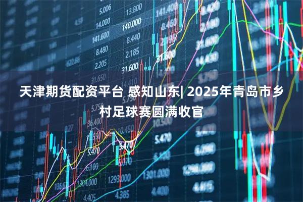天津期货配资平台 感知山东| 2025年青岛市乡村足球赛圆满收官